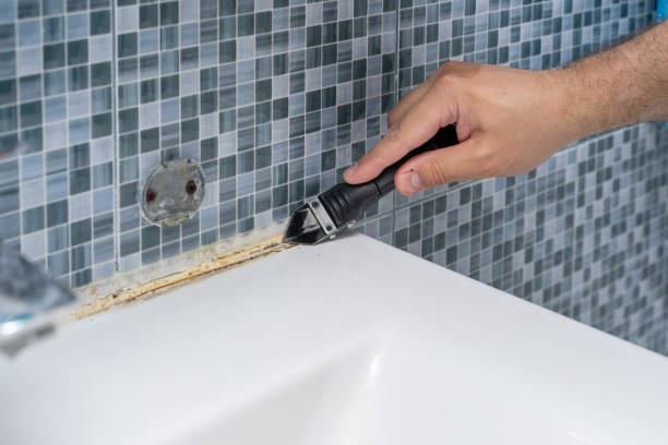 Best Residential Mold Removal  in Belle Glade, FL